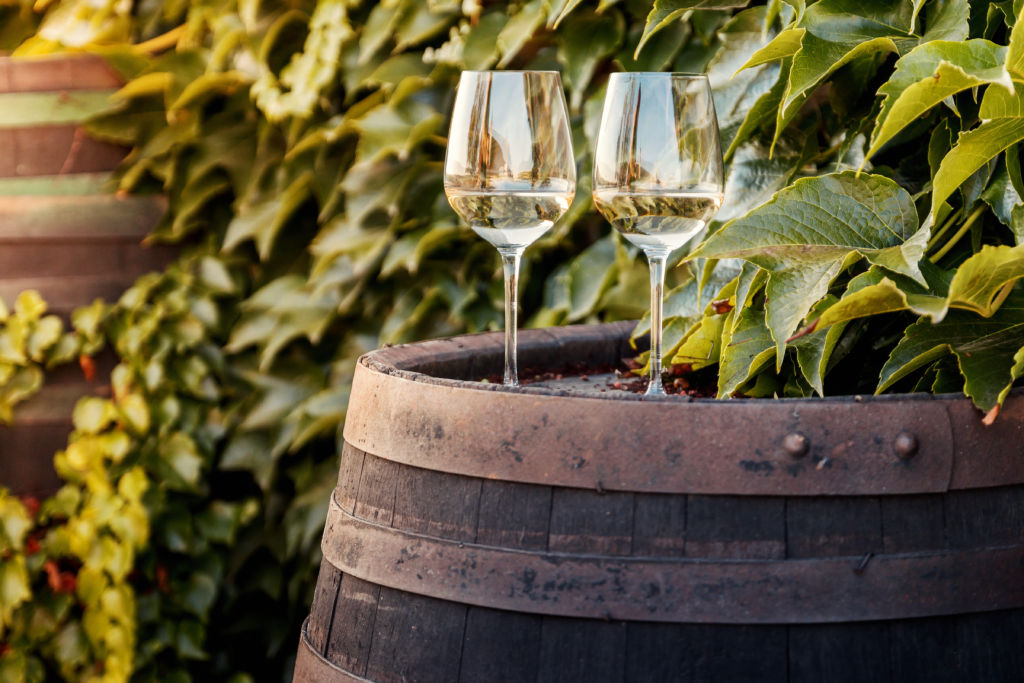 Wine barrel with two glasses of white wine by vineyard · Free Stock Photos